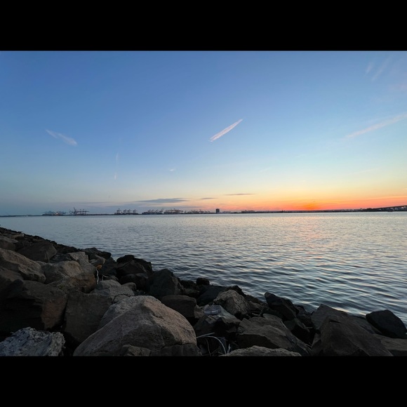 Meet your Posher, Jasmine - Picture 1 of 1